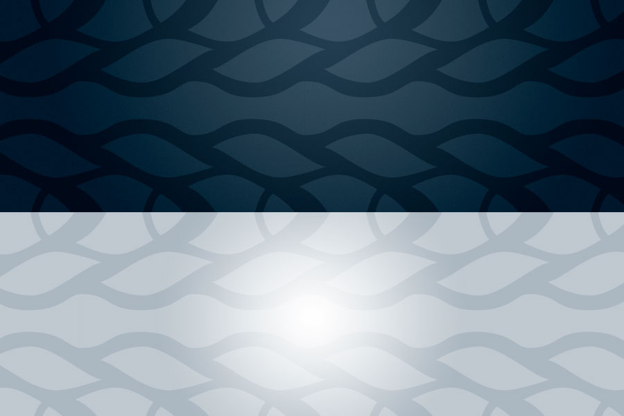 DP Profilmanual Stripe Utsnitt 900x600